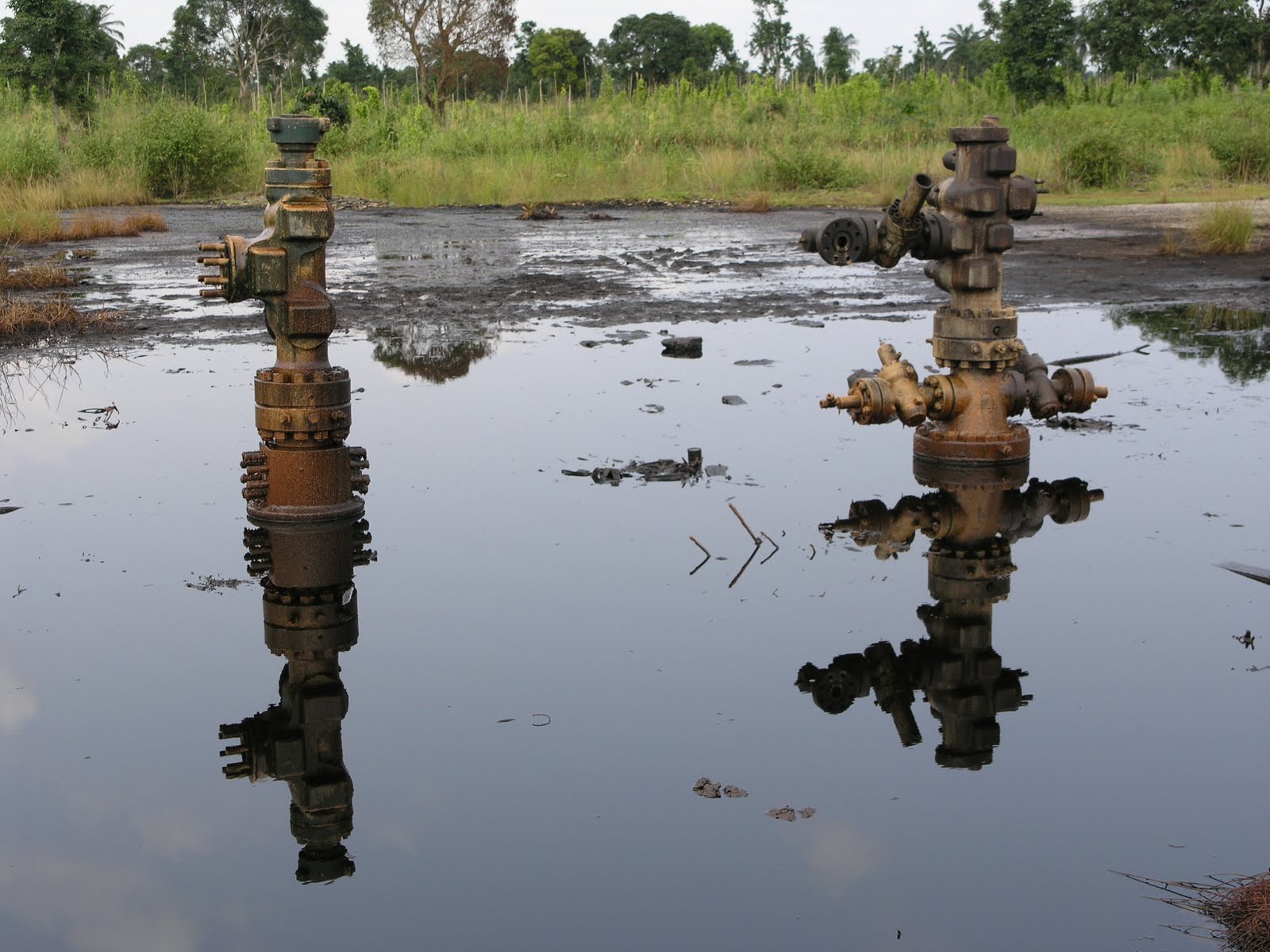 What Are The Effects Of Oil Spillage In Nigeria