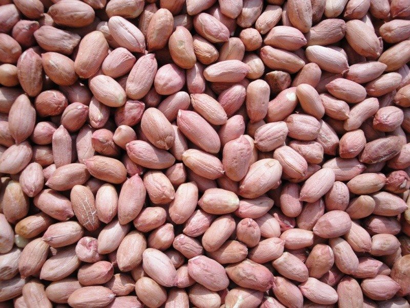 10 Amazing Health Benefits Of Eating Groundnuts