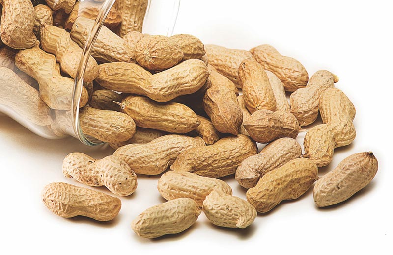 10-amazing-health-benefits-of-eating-groundnuts