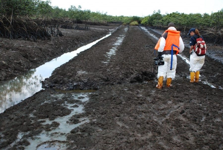 Image result for FG committed to cleaning up Niger Delta pollution - Minister