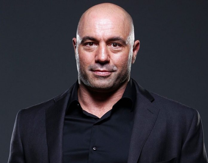 The Truth About Joe Rogan's Family, Wife and Kids