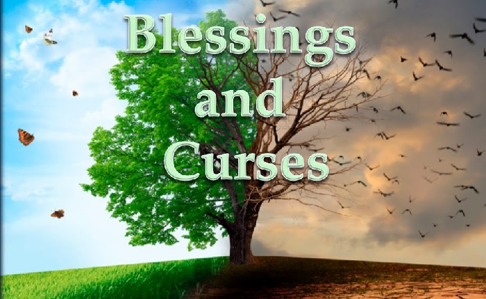 Blessing and curse