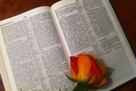 Favorite Bible Verses You Will Surely Fall In Love With