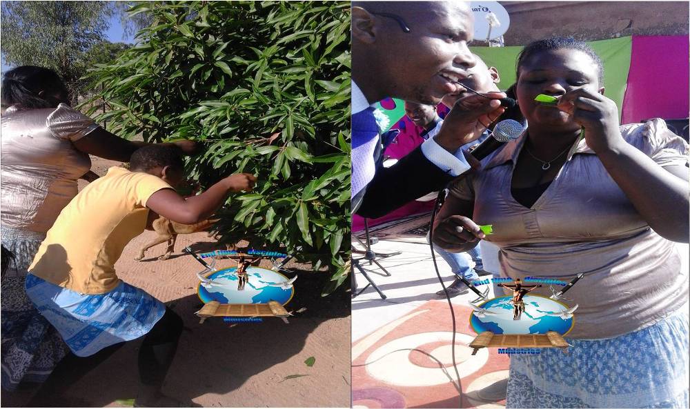 Shocking! South African Pastor Makes Members Eat Mango Leaves