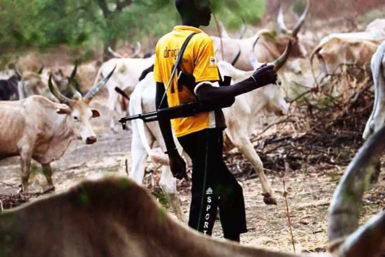 Fulani Herdsmen