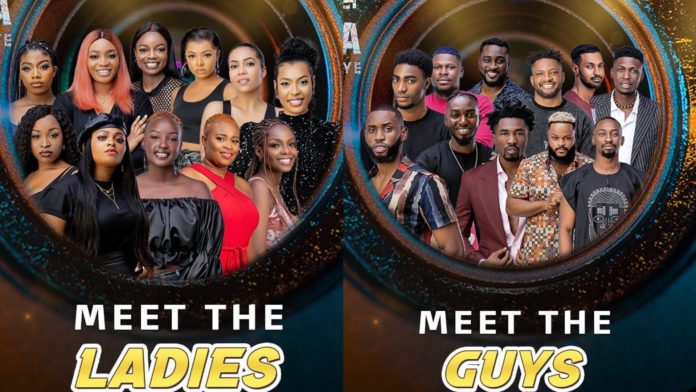 Meet All The Big Brother Naija 2021 Housemates - The Most Comprehensive List