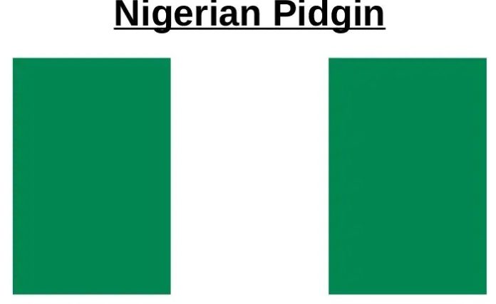 Nigerian pidgin English
