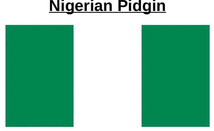 nigerian pidgin english words