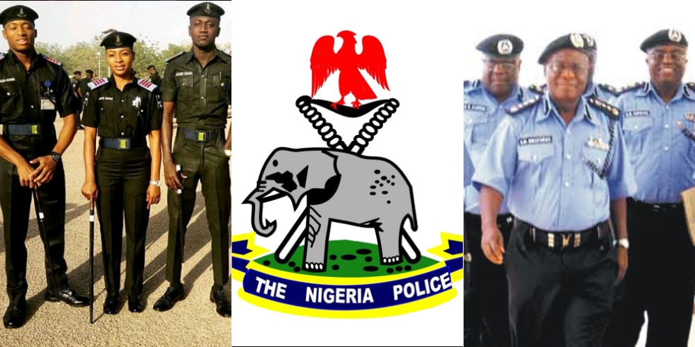 Nigerian Police Force Ranks Salary Structure 2024 Mum - vrogue.co