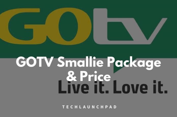 GOTV-Smallie-Package-Price-