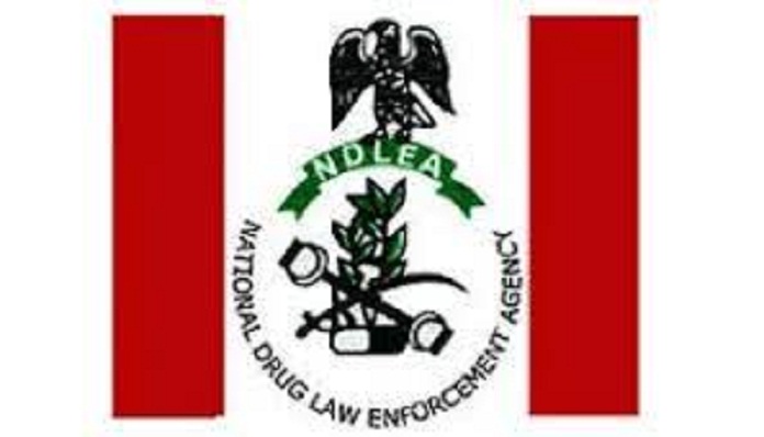 NDLEA Salary Structure