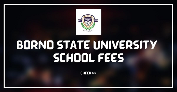 Bornu State University Courses and Fees