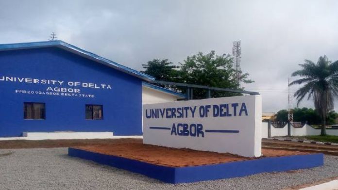 Universities in Delta